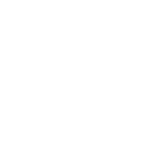 GDANSK CITY LOGO 22